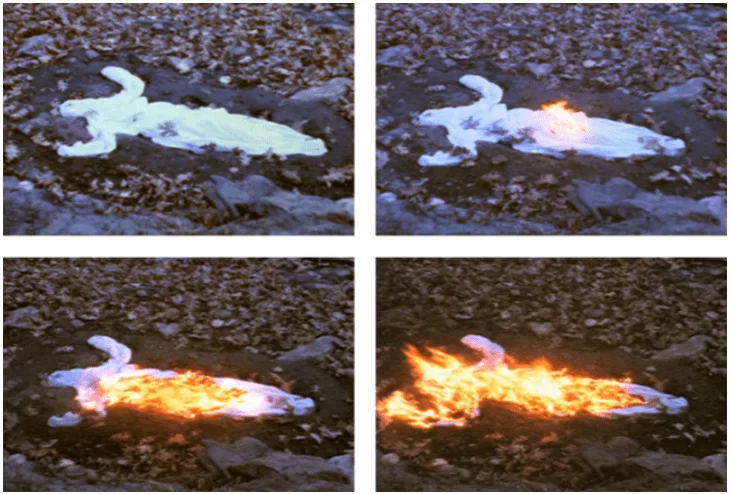 Figure 8 - Ana Mendieta, Alma Silueta en Fuego (Silueta de Cenizas), 1975. Super-8 color, silent film transferred to DVD, running time: 3:30 minutes. Edition of 6. [http://www.galerielelong.com/artist/ana-mendieta] 