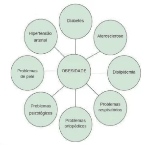Figura 2: Diagrama das doenças relacionadas à obesidade infantil. Fonte: Silveira (2017, p. 62)