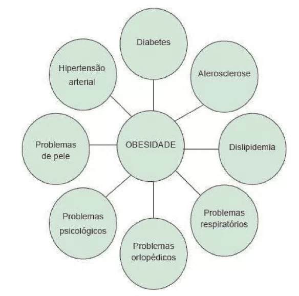 Figura 2: Diagrama das doenças relacionadas à obesidade infantil. Fonte: Silveira (2017, p. 62)