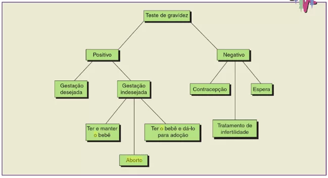 Figura 1 – Desfecho das mulheres para um aborto. Fonte: (ORSHAN, 2011)