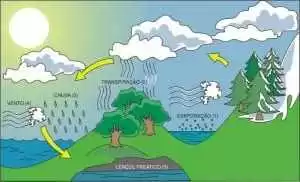 Resultado de imagem para ciclo hidrolÃ³gico
