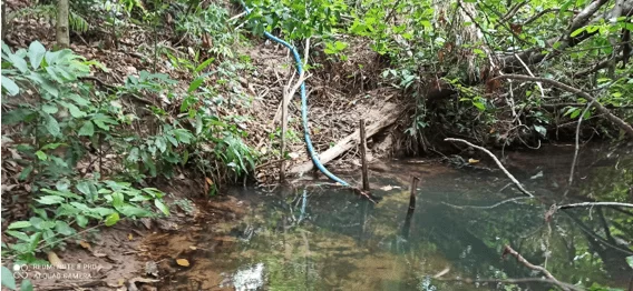 Headland region of the Neblina stream upstream from the first collection point.