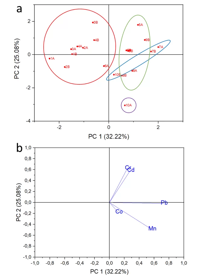 Gráfico de scores (a) e loadings (b) dos componentes principais