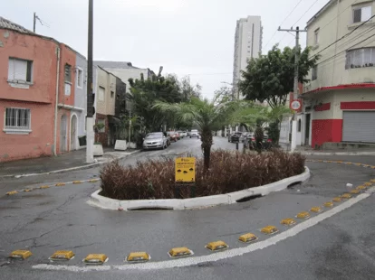 Jardim de chuva em rotatória na rua Teodureto Souto (região sul) - 1