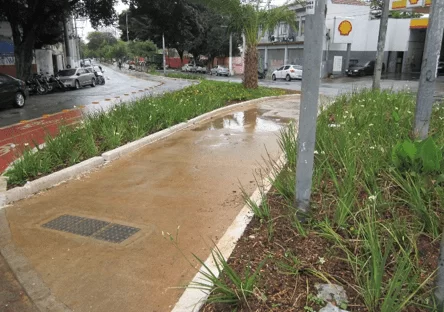 Jardim de chuva localizado no encontro da Rua Teixeira Leite com a Rua do Lavapés (região central)