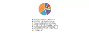 Divisão de Cargos no Setor
