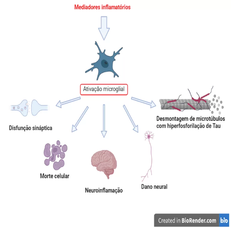 Processos gerados a partir da ativação microglial.