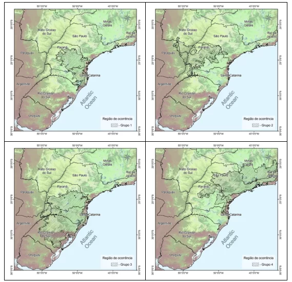 Regiões de ocorrência de erva-mate referentes aos Grupos 1, 2, 3 e 4