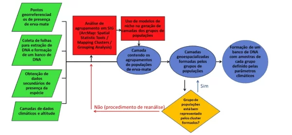 Representação da metodologia usada na caracterização de agrupamentos de populações de erva-mate