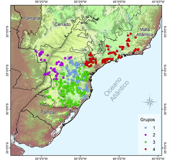 Representação dos quatro grupos de distribuição da erva-mate no Brasil, formados de acordo com as condições climáticas e a altitude