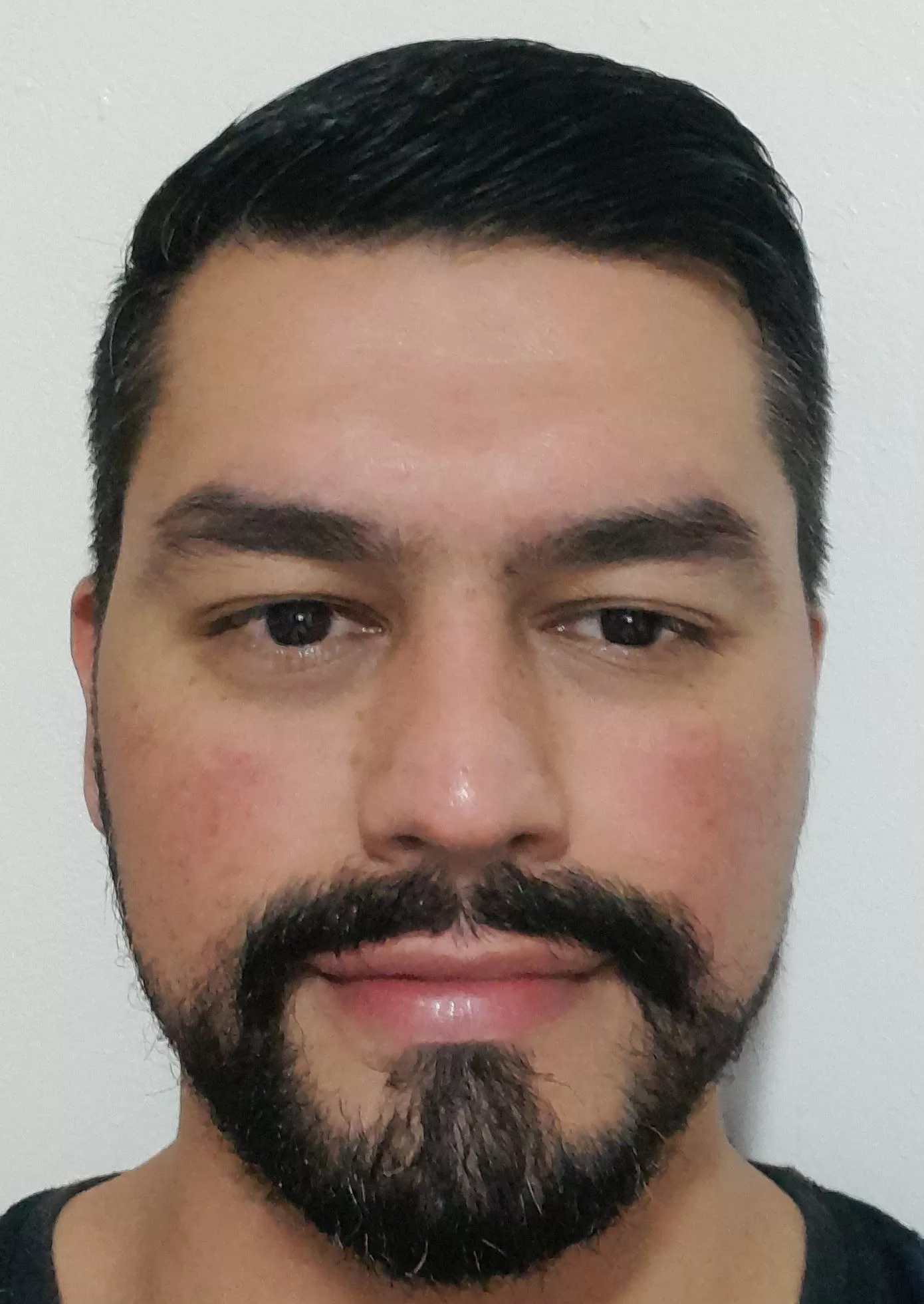 Luiz Felipe Bastos Silveira