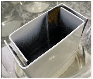Amostra pintada preservada