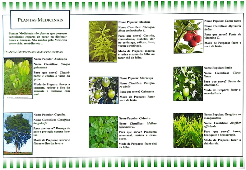 Folders distribuídos aos comunitários coariense visitantes da Feirinha de Plantas Medicinais do ISB.